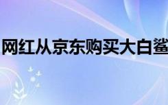 網(wǎng)紅從京東購(gòu)買(mǎi)大白鯊？京東回應(yīng)：沒(méi)有銷售