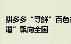 拼多多“尋鮮”百色芒果，革命老區(qū)“幸福味道”飄向全國