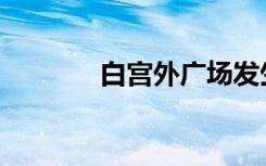 白宮外廣場發(fā)生雷擊4人重傷