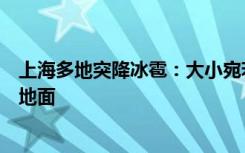 上海多地突降冰雹：大小宛若雞蛋，密集雹體噼里啪啦砸向地面