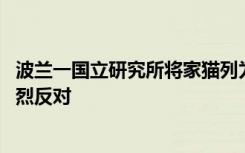 波蘭一國立研究所將家貓列為