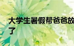 大學(xué)生暑假幫爸爸放羊 結(jié)果自己和羊都走失了