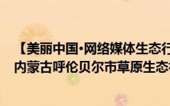 【美麗中國·網(wǎng)絡(luò)媒體生態(tài)行】草原更豐美 牧民更富裕——內(nèi)蒙古呼倫貝爾市草原生態(tài)補(bǔ)獎(jiǎng)采訪實(shí)錄