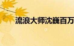 流浪大師沈巍百萬收入被借無人還清