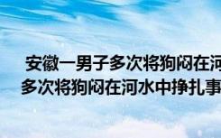  安徽一男子多次將狗悶在河水中掙扎怎么回事 安徽一男子多次將狗悶在河水中掙扎事件簡(jiǎn)單介紹
