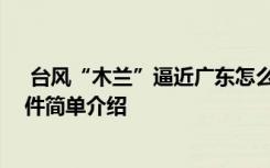  臺風“木蘭”逼近廣東怎么回事 臺風“木蘭”逼近廣東事件簡單介紹