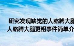  研究發(fā)現(xiàn)缺覺(jué)的人胳膊大腿更粗怎么回事 研究發(fā)現(xiàn)缺覺(jué)的人胳膊大腿更粗事件簡(jiǎn)單介紹