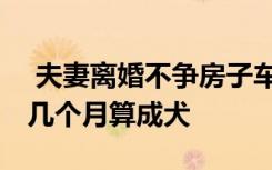  夫妻離婚不爭(zhēng)房子車子只爭(zhēng)柯基犬 柯基幼犬幾個(gè)月算成犬
