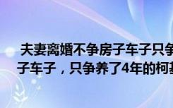  夫妻離婚不爭(zhēng)房子車子只爭(zhēng)柯基犬：80后夫妻離婚不爭(zhēng)房子車子，只爭(zhēng)養(yǎng)了4年的柯基犬，法官是這么說(shuō)的