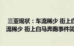  三亞現(xiàn)狀：車流稀少 街上白馬奔跑怎么回事 三亞現(xiàn)狀：車流稀少 街上白馬奔跑事件簡單介紹