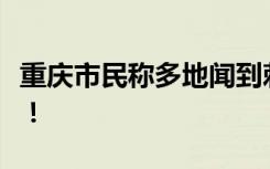 重慶市民稱多地聞到刺鼻臭味，官方答復(fù)來了！