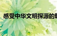  感受中華文明探源的魅力 中華文明發(fā)展現(xiàn)狀
