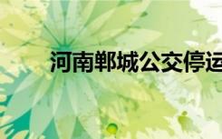  河南鄲城公交停運：發(fā)不起司機工資
