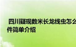  四川疑現(xiàn)數(shù)米長龍線蟲怎么回事 四川疑現(xiàn)數(shù)米長龍線蟲事件簡單介紹