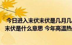  今日進(jìn)入末伏末伏是幾月幾號2022年年 三伏天一共多少天 末伏是什么意思 今年高溫?zé)崴蓝嗌偃? class=