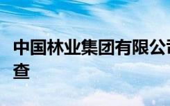 中國林業(yè)集團(tuán)有限公司董事、原總經(jīng)理林展被查
