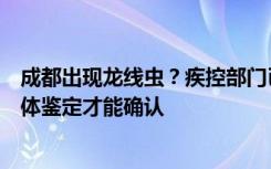 成都出現(xiàn)龍線蟲？疾控部門已上報，昆蟲學(xué)家：需采集到實體鑒定才能確認(rèn)