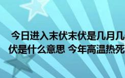 今日進(jìn)入末伏末伏是幾月幾號2022年 三伏天一共多少天 末伏是什么意思 今年高溫?zé)崴蓝嗌偃? class=