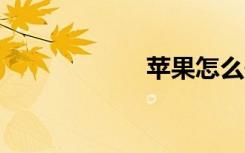 蘋果怎么開5g開關(guān)