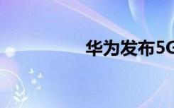 華為發(fā)布5G應(yīng)用白皮書