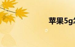 蘋果5g怎么關(guān)閉
