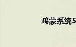 鴻蒙系統(tǒng)5G怎么開啟