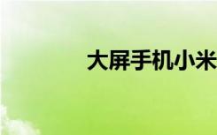大屏手機(jī)小米Max體驗(yàn)評(píng)測(cè)