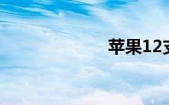 蘋果12支持5g嗎