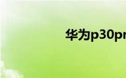 華為p30pro支持5g嗎