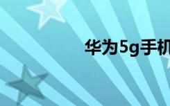 華為5g手機(jī)有哪些型號(hào)