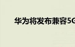 華為將發(fā)布兼容5G網(wǎng)絡(luò)的新P40 Lite