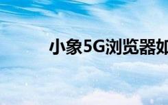 小象5G瀏覽器如何設(shè)置搜索引擎
