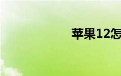 蘋果12怎么打開5g