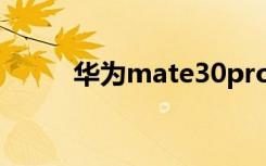 華為mate30pro怎么看是不是5g