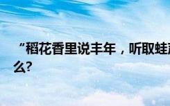 “稻花香里說豐年，聽取蛙聲一片”中的蛙聲實際指的是什么?