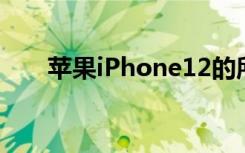 蘋果iPhone12的所有4種型號的比較