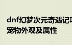 dnf幻夢(mèng)次元奇遇記攻略 dnf幻夢(mèng)次元奇遇記寵物外觀及屬性