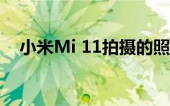小米Mi 11拍攝的照片已出現(xiàn)在互聯(lián)網(wǎng)上