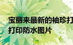 寶麗來最新的袖珍打印機不僅可愛 而且還能打印防水圖片
