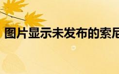 圖片顯示未發(fā)布的索尼愛立信Xperia Play 2