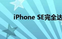 iPhone SE完全達(dá)到了Apple的預(yù)期
