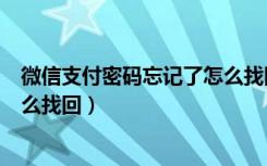 微信支付密碼忘記了怎么找回app（微信支付密碼忘記了怎么找回）