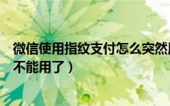 微信使用指紋支付怎么突然用不了（微信指紋支付怎么突然不能用了）