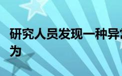 研究人員發(fā)現(xiàn)一種異常蛋白質(zhì)的異常玻璃態(tài)行為