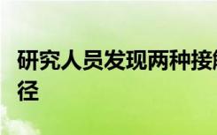 研究人員發(fā)現(xiàn)兩種接觸二元亞型的不同進(jìn)化途徑