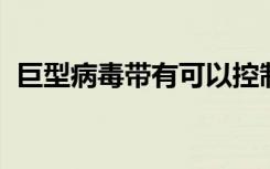 巨型病毒帶有可以控制生物代謝的遺傳密碼