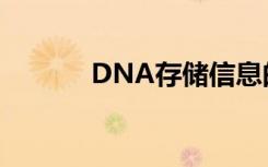 DNA存儲(chǔ)信息的能力得到提升