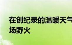 在創(chuàng)紀(jì)錄的溫暖天氣中 西伯利亞發(fā)生近300場野火