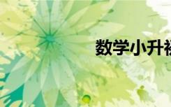數(shù)學(xué)小升初復(fù)習(xí)方法