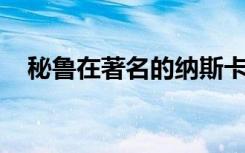 秘魯在著名的納斯卡遺址展示巨型貓蝕刻